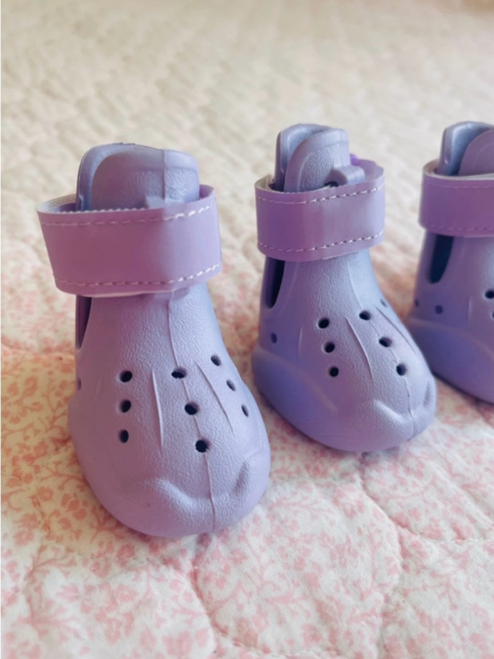 Beautiful Dog/Cat Shoes, very small size 1